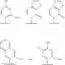 Fig. 366 - Reagents and methods for replication, transcription, and translation in semi-synthetic organisms