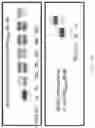 Fig. 09 - ENZYME-LINKED NUCLEOTIDES