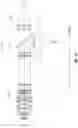 Fig. 10 - Calibrated focus sensing