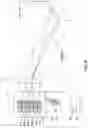 Fig. 09 - MEMS mirror having spaced actuators