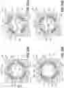 Fig. 40 - MEMS mirror having spaced actuators