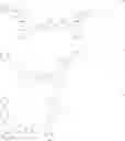 Fig. 104 - ORGANIC ELECTROLUMINESCENT DEVICE