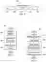 Fig. 07 - Server-based local address assignment protocol