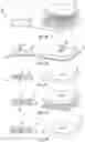 Fig. 06 - Electrode apparatuses and methods of forming electrode apparatuses