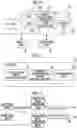Fig. 08 - Radiation imaging system and transmission device