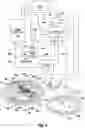 Fig. 08 - ASPIRATION SYSTEM FOR THROMBECTOMY PROCEDURES