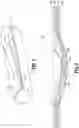 Fig. 07 - Seal assemblies for surgical access assemblies