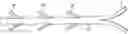 Fig. 01 - Implant and method for long bone fixation