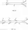 Fig. 07 - Implant and method for long bone fixation