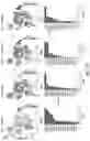 Fig. 11 - ATLAS OF CHOROID PLEXUS CELL TYPES AND THERAPEUTIC AND DIAGNOSTIC USES THEREOF