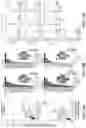 Fig. 27 - ATLAS OF CHOROID PLEXUS CELL TYPES AND THERAPEUTIC AND DIAGNOSTIC USES THEREOF