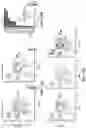 Fig. 35 - ATLAS OF CHOROID PLEXUS CELL TYPES AND THERAPEUTIC AND DIAGNOSTIC USES THEREOF