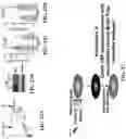 Fig. 48 - ATLAS OF CHOROID PLEXUS CELL TYPES AND THERAPEUTIC AND DIAGNOSTIC USES THEREOF