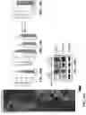 Fig. 55 - ATLAS OF CHOROID PLEXUS CELL TYPES AND THERAPEUTIC AND DIAGNOSTIC USES THEREOF