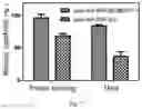 Fig. 08 - Composite biological agent based on porous frame materials