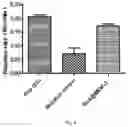 Fig. 09 - Composite biological agent based on porous frame materials
