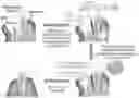 Fig. 01 - DENTAL ADHESIVE HYDROGELS AND USES THEREOF