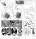 Fig. 02 - DENTAL ADHESIVE HYDROGELS AND USES THEREOF