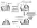 Fig. 03 - DENTAL ADHESIVE HYDROGELS AND USES THEREOF
