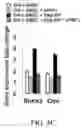 Fig. 06 - DENTAL ADHESIVE HYDROGELS AND USES THEREOF