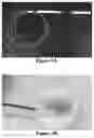 Fig. 06 - INJECTABLE SHEAR-THINNING HYDROGELS AND USES THEREOF