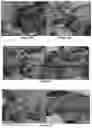 Fig. 10 - INJECTABLE SHEAR-THINNING HYDROGELS AND USES THEREOF