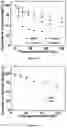 Fig. 11 - INJECTABLE SHEAR-THINNING HYDROGELS AND USES THEREOF