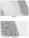 Fig. 14 - INJECTABLE SHEAR-THINNING HYDROGELS AND USES THEREOF