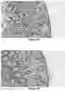 Fig. 15 - INJECTABLE SHEAR-THINNING HYDROGELS AND USES THEREOF