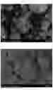 Fig. 08 - METHOD FOR PRODUCING CALCIUM PHOSPHATE, AND HARMFUL GAS- AND ODOR-REMOVING COMPOSITION CONTAINING CALCIUM PHOSPHATE OBTAINED THEREBY