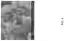Fig. 06 - Composite yarn and method of making a carbon nanotube composite yarn