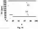 Fig. 12 - METHOD AND APPARATUS FOR ELECTROCHEMICAL pH CONTROL
