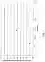 Fig. 07 - Dimensionally stable fast etching glasses