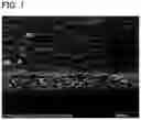 Fig. 02 - Glass sheet with porous coating film and method of producing same