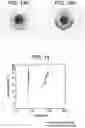 Fig. 10 - GLASS ARTICLES COMPRISING LIGHT EXTRACTION FEATURES AND METHODS FOR MAKING THE SAME