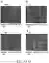 Fig. 08 - BUILDING PRODUCTS HAVING SMOOTH SURFACE TOPOGRAPHY