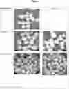 Fig. 02 - Fertilizer composite and method of reducing dust formation