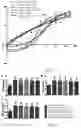 Fig. 04 - Emodin succinyl ester compound, preparation method therefor and application thereof