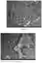 Fig. 13 - 2,2,2-trifluoroacetic acid 1-(2,4-Dimethylphenyl)-2-[(3-methoxyphenyl)methylene] hydrazide polymorphs and method of making the same
