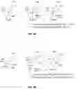 Fig. 08 - Methods and compositions for terpenoid tricycloalkane synthesis