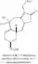 Fig. 178 - Methods and compositions for terpenoid tricycloalkane synthesis