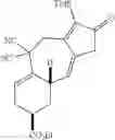 Fig. 242 - Methods and compositions for terpenoid tricycloalkane synthesis