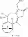 Fig. 244 - Methods and compositions for terpenoid tricycloalkane synthesis