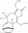 Fig. 246 - Methods and compositions for terpenoid tricycloalkane synthesis