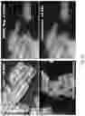 Fig. 03 - Methods and compositions for selectively inhibiting pathogenic microbes