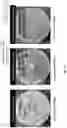 Fig. 08 - Antimicrobial compounds, compositions, and articles of manufacture for selectively inhibiting pathogenic microbes