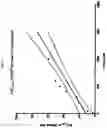 Fig. 05 - Novel Phenyl Derivatives