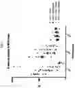Fig. 06 - Novel Phenyl Derivatives