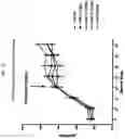 Fig. 15 - Novel Phenyl Derivatives