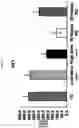 Fig. 28 - Novel Phenyl Derivatives